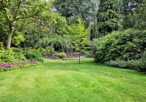 Optimiser l'expérience du jardin à Silley-Blefond